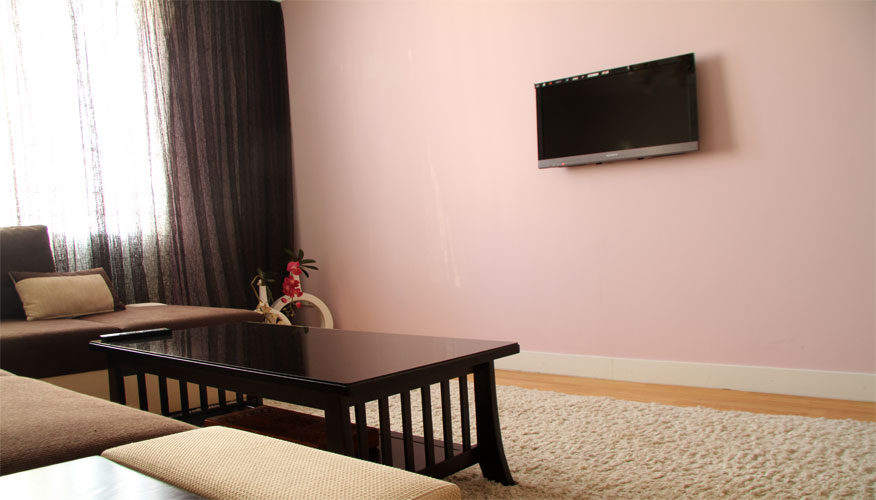 Monthly rental in the center of Chisinau: 2 rooms, 1 bedroom, 47 m²